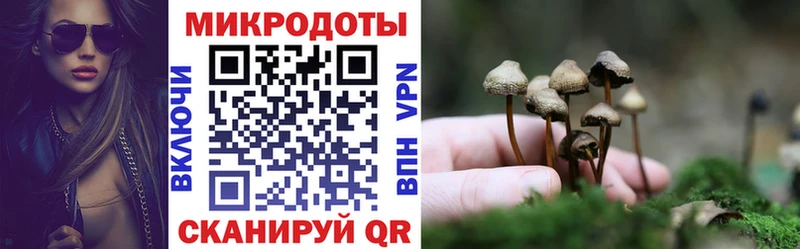 OMG ТОР  Бавлы  Псилоцибиновые грибы Psilocybe 